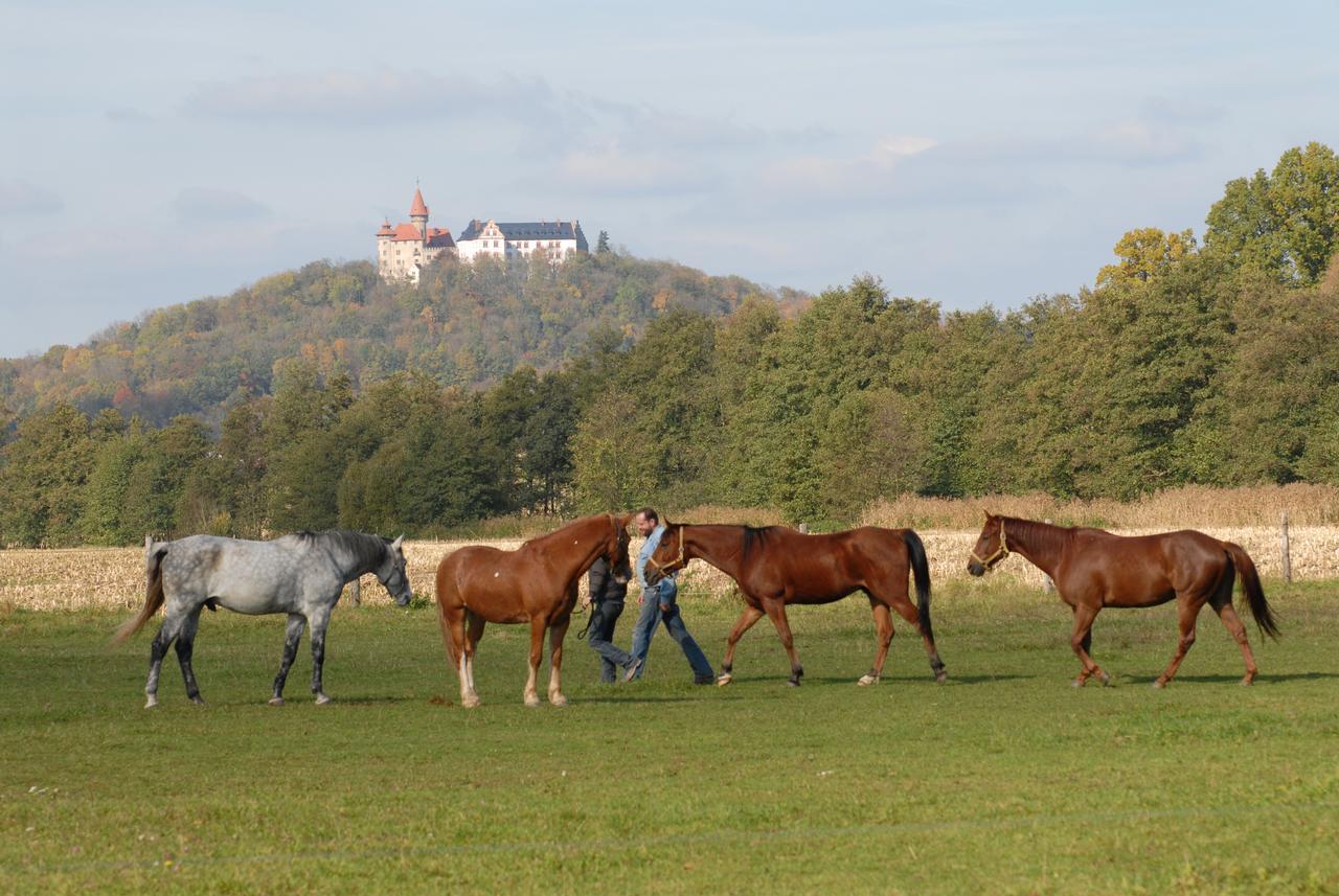 Land- Und Aktivhotel Altmuehlaue Бад-Родах Экстерьер фото